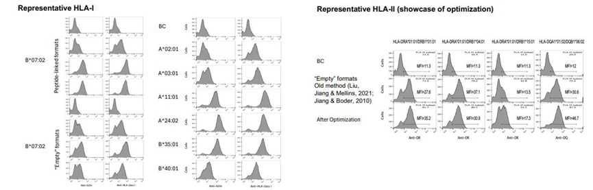 图2: 通过流式细胞术(FACS),利用构象特异性抗体检测酵母表面展示的 HLA,证实单等位基因 HLA-I(如 A02:01、B07:02)和 HLA-II(如 DRB1*01:01)均正确表达且保持天然构象,表达效率显著高于传统方法.